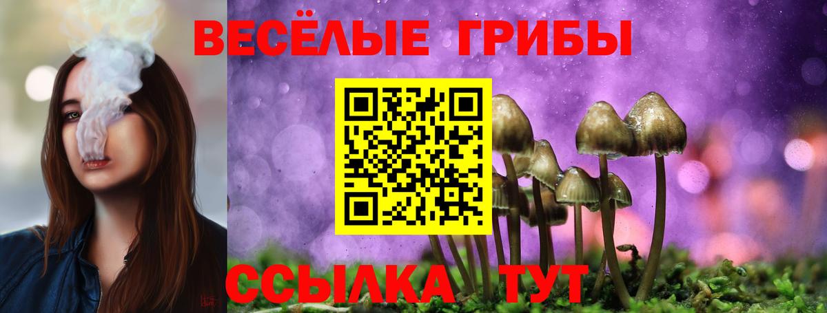 Волгодонск  Псилоцибиновые грибы прущие грибы  как найти   Псилоцибиновые грибы мицелий  Вход с VPN 
