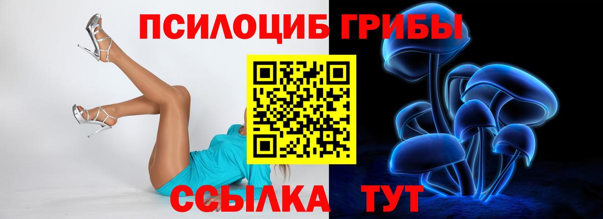 Псилоцибиновые грибы Psilocybe Волгодонск